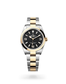 Rolex Explorer in Oystersteel and gold m124273-0001 at Reeds Jewelers