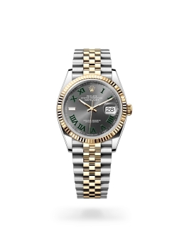 Rolex Datejust in Oystersteel and gold m126233-0035 at Reeds Jewelers