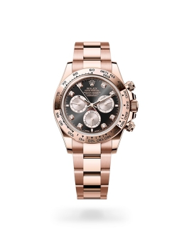 Rolex Cosmograph Daytona in Gold m126505-0002 at Reeds Jewelers
