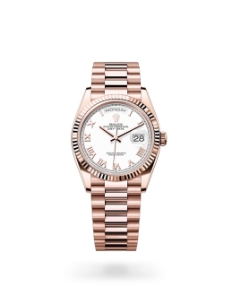 Rolex Day Date Watches REEDS Jewelers Mayfaire