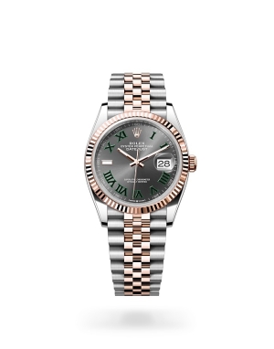 Rolex Datejust in Oystersteel and gold m126231-0029 at Reeds Jewelers