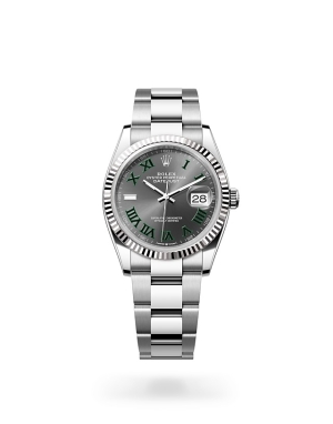 Rolex Datejust in Oystersteel, Oystersteel and gold m126234-0046 at Reeds Jewelers