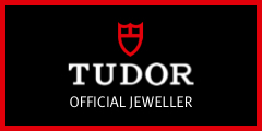 tudor-logo